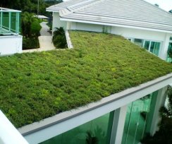 Projetos e Obras Sustentáveis em Cotia – São Paulo – SP